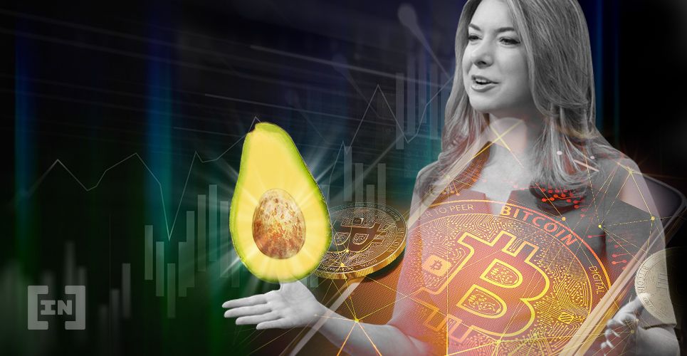 Bitcoin Está Novamente Seguindo o Preço dos Abacates