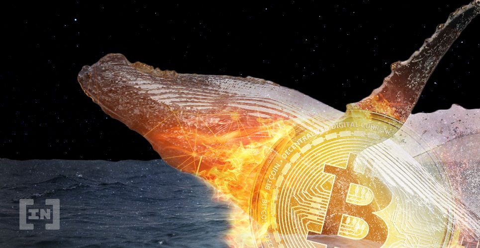 Alta de US $3000 do Bitcoin Pode ser Manipulação de Grandes Players