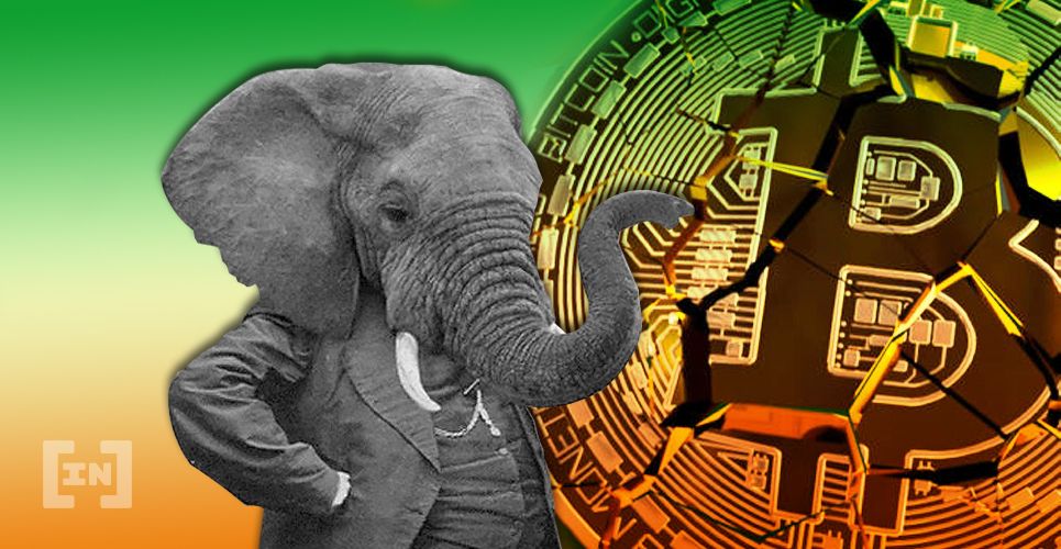 NFT criado por elefante será vendido na Opensea