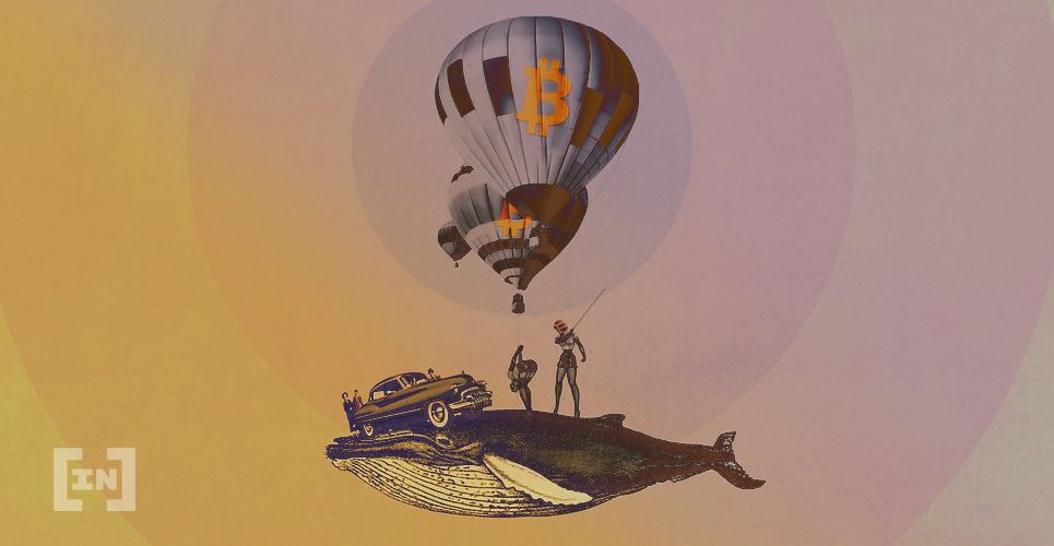 Compras de Baleias de Bitcoin Podem Indicar o Fundo do Mercado