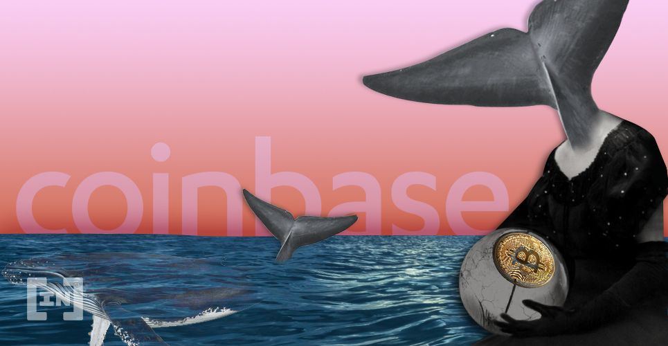 Token recém listado na Coinbase é o quinto mais buscado por baleias de Ethereum
