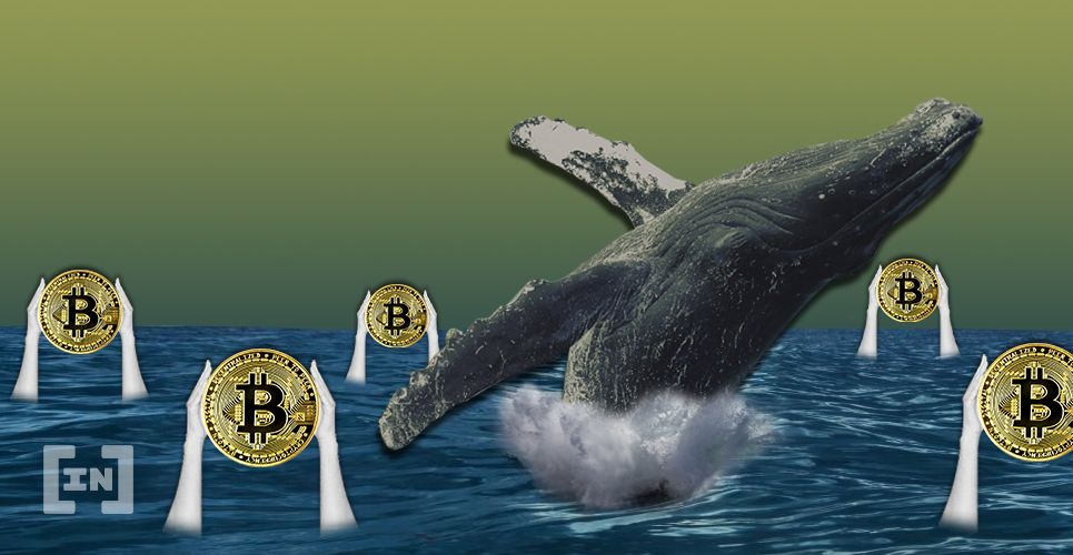 Bitcoin ainda não atingiu preço desejado por baleias, mostram dados de exchanges