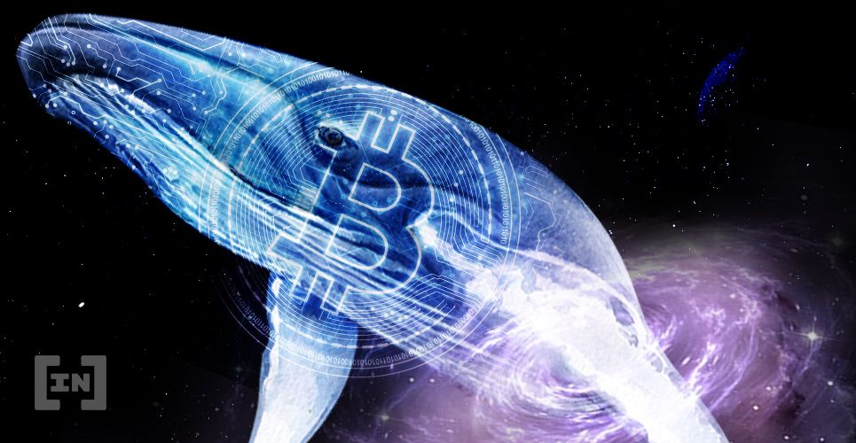 Baleia de Bitcoin move US$ 97 milhões da Coinbase