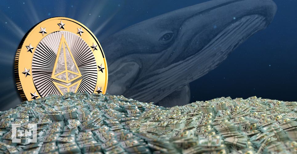 Ethereum: baleias aproveitaram queda de preço para comprar até 10.000 ETH