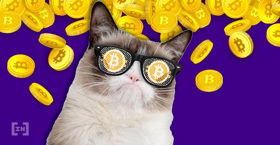 Rei do Bitcoin Vai Lançar Novas Plataformas Para Pagar Dívida