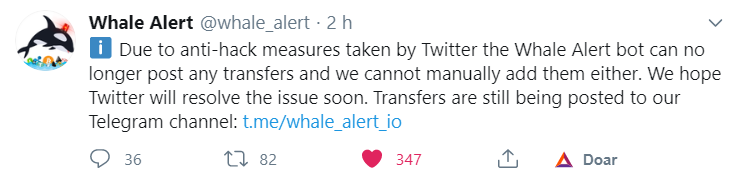 Whale Alert não está funcionando