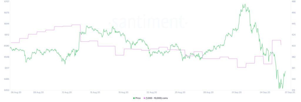 ethereum_eth_baleia
