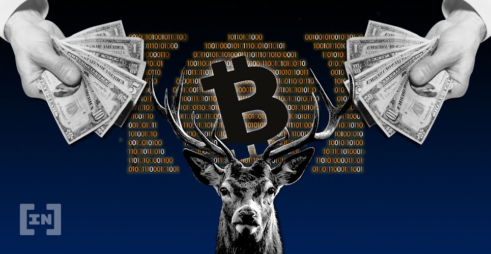 Bitcoin Cash (BCH): prevendo o preço em uma tendência de baixa