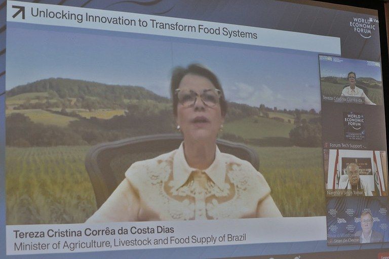 Tereza Cristina blockchain