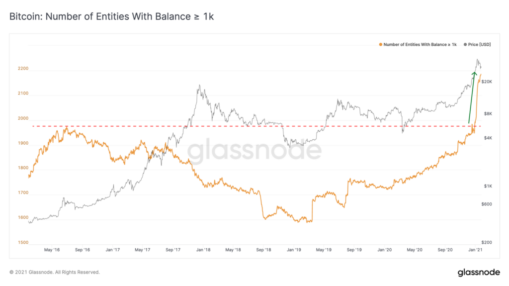 número de baleias de bitcoin