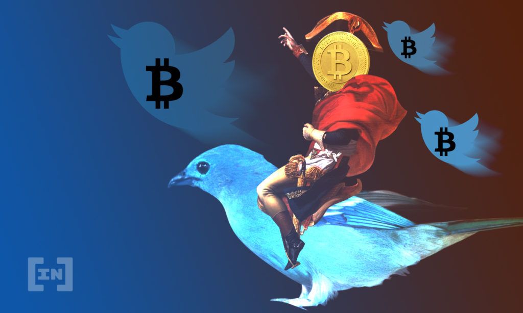 CFO do Twitter: ‘Investir em cripto agora não taz sentido’