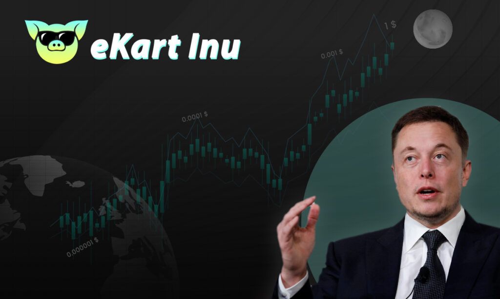 Ekart Inu deve crescer 100 vezes após ser listada em exchanges