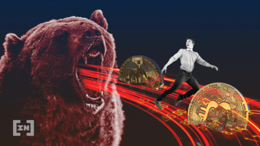 Como sobreviver ao bear market de criptomoedas