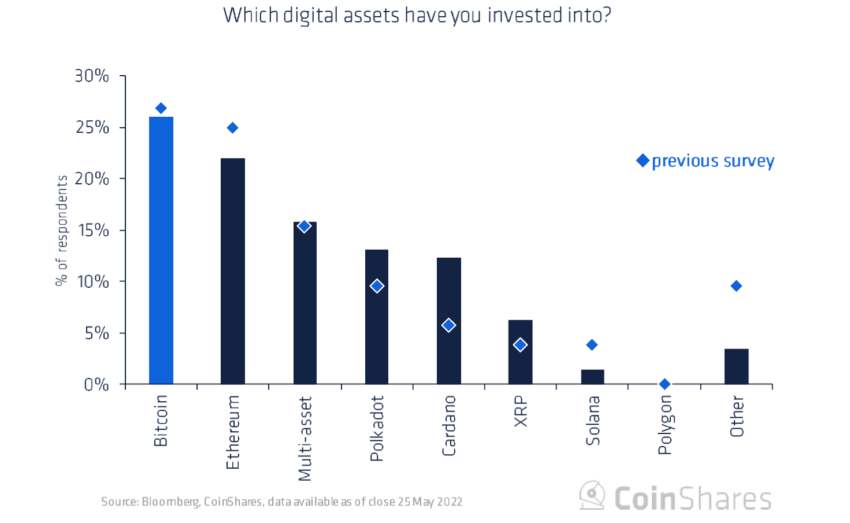 Gráfico do aumento de investimento na Cardano pelos entrevistados