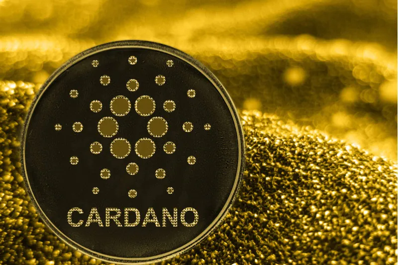 CEO revela os planos da Cardano (ADA) para 2023