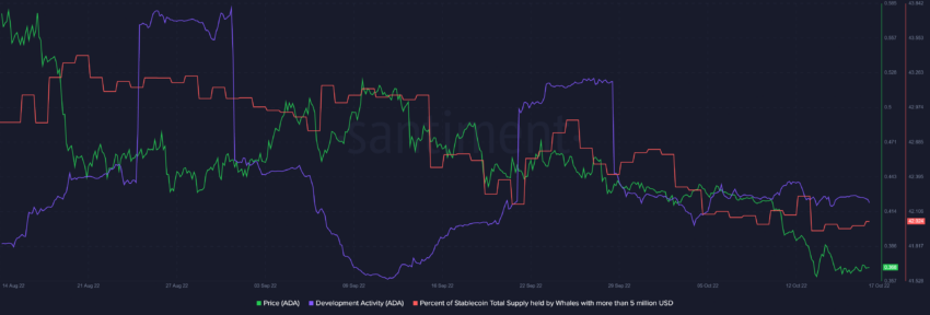 O preço da Cardano (ADA) continua caindo sem incentivos de alta de curto prazo