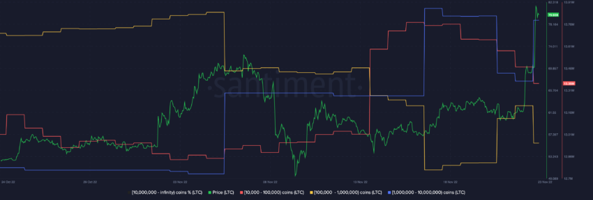 Preço da Litecoin (LTC) salta acima de US$ 80 devido a compras de baleias