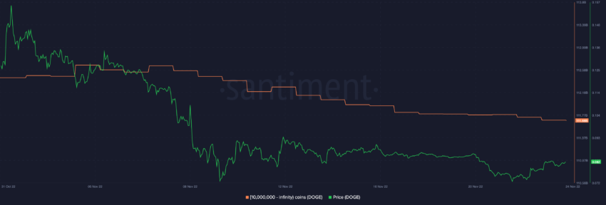 Dogecoin (DOGE) salta 14% após grande Short Squeeze