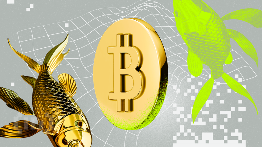 Bitcoin e ouro: os grandes vencedores após o aumento dos juros nos EUA