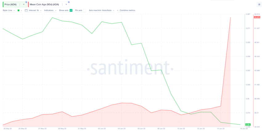 Cardano em recuperação após investidores de longo prazo se manterem firmes
