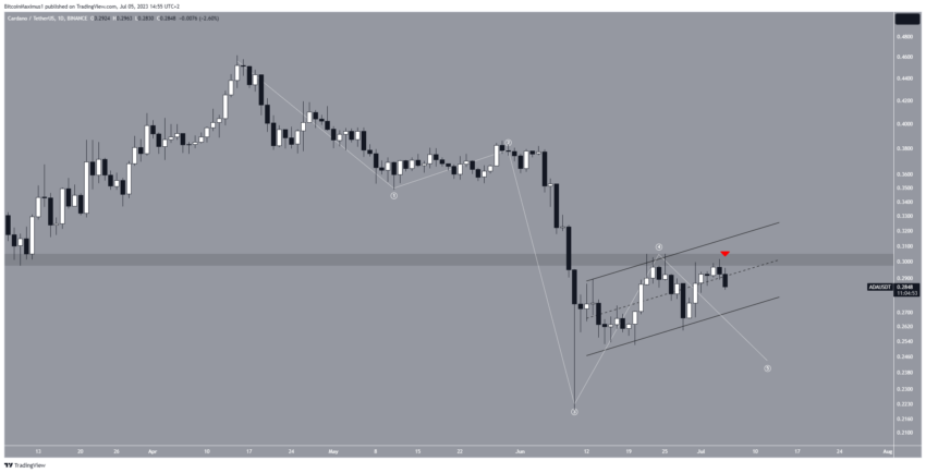 Investidores da Cardano temem queda de 20%. Entenda o motivo