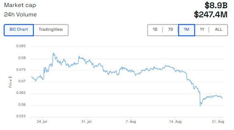Dogecoin: confira quanto é necessário investir para ficar rico com a memecoin