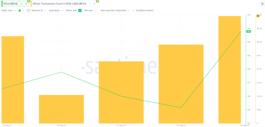 Volume de Grandes Transações aumentam no Bitcoin Cash (BCH): isto pode recuperar os 250 dólares?