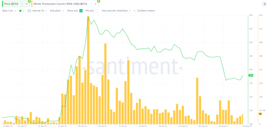Volume de Grandes Transações aumentam no Bitcoin Cash (BCH): isto pode recuperar os 250 dólares?
