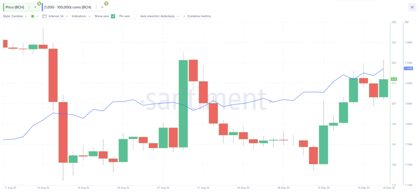 Bitcoin Cash: as baleias impulsionarão o preço para 300 dólares?
