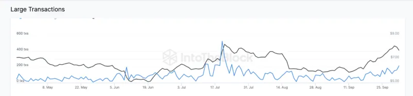 Confira 3 altcoins que as baleias de criptomoedas estão acumulando em outubro