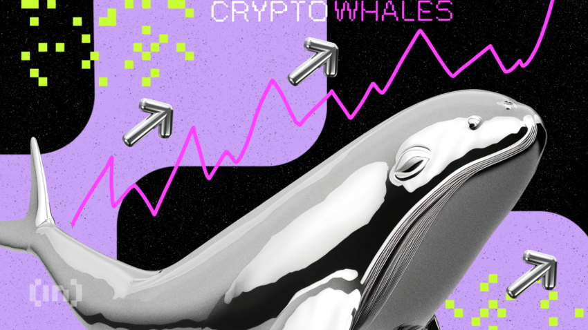 Confira quais criptomoedas as baleias estão comprando para ter lucro em novembro