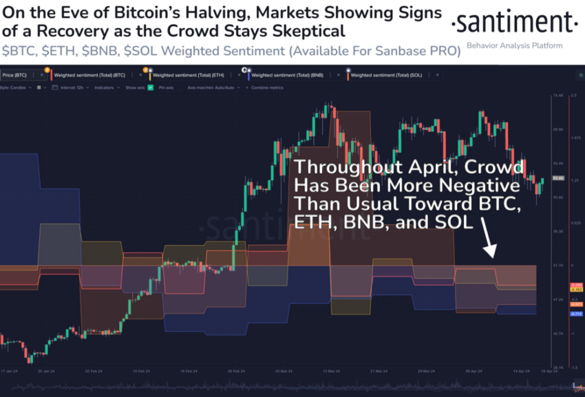 Halving do Bitcoin: como as baleias irão reagir ao evento?