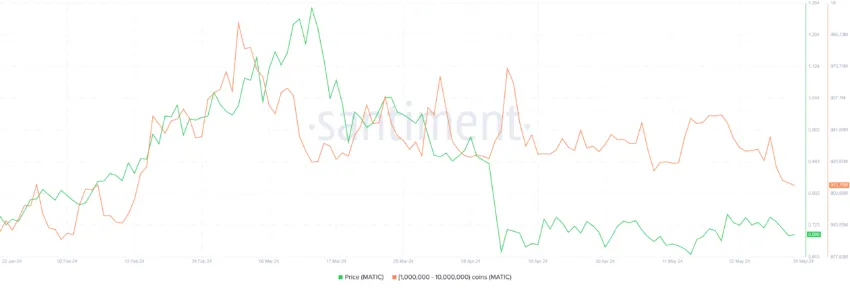 MATIC em posse das baleias. Fonte: Santiment